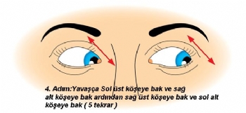 Göz Egzersizleri